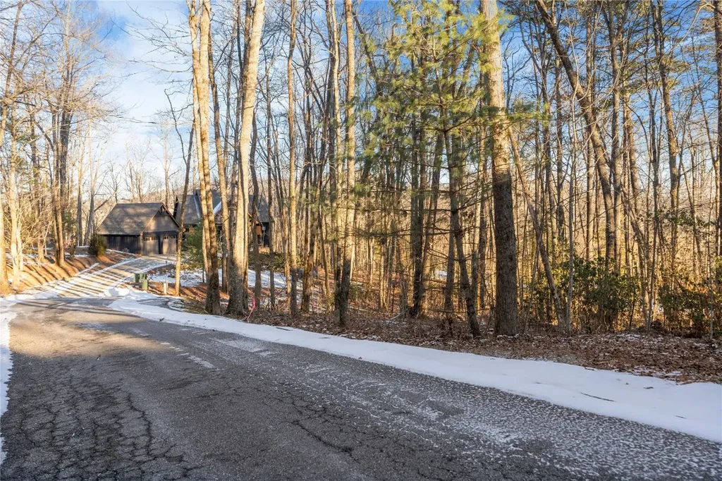 238 Wild Iris Road Cashiers NC 28717