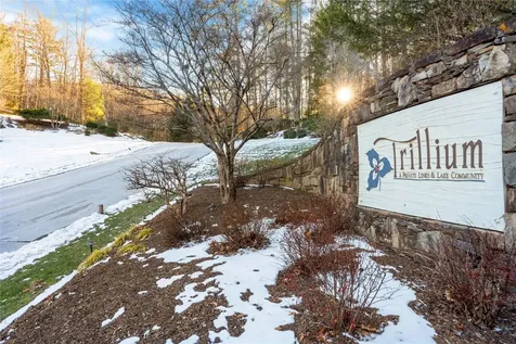 238 Wild Iris Road Cashiers NC 28717