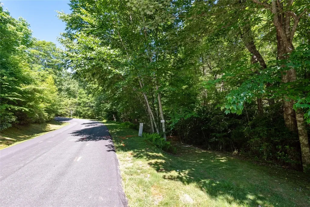 50A Maidenhaire Lane Sapphire NC 28774