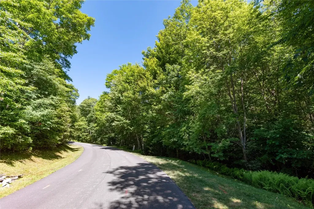 50A Maidenhaire Lane Sapphire NC 28774