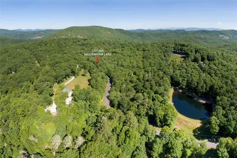 50A Maidenhaire Lane Sapphire NC 28774