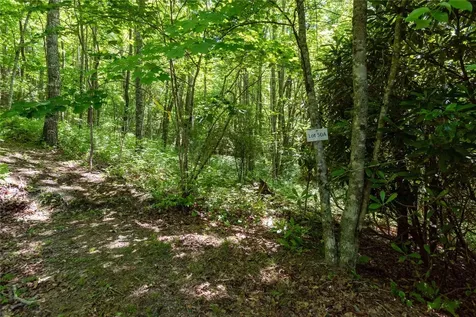 50A Maidenhaire Lane Sapphire NC 28774