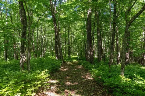 50A Maidenhaire Lane Sapphire NC 28774