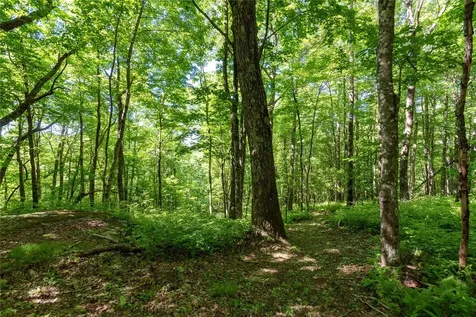 50A Maidenhaire Lane Sapphire NC 28774