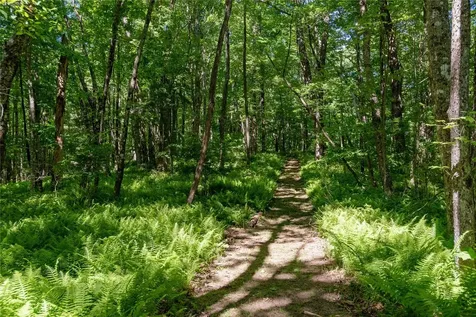 50A Maidenhaire Lane Sapphire NC 28774