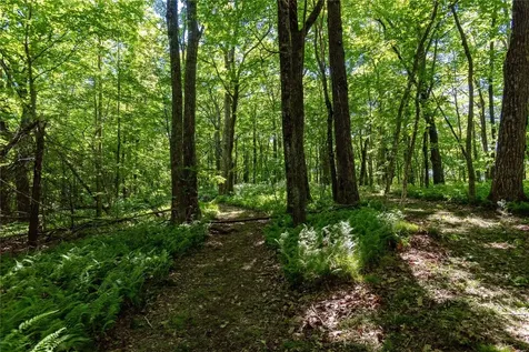 50A Maidenhaire Lane Sapphire NC 28774