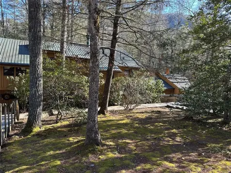 63 Chatterbox Way Sapphire NC 28774