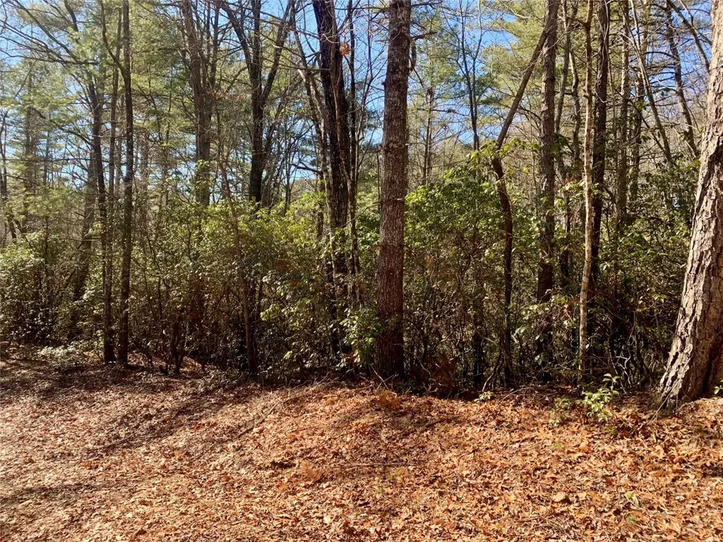 Lot 18 Oakridge Drive Brevard NC 28712