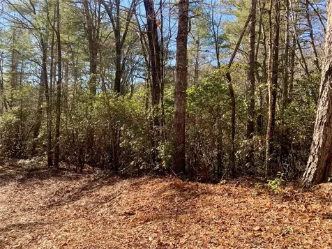 Lot 18 Oakridge Drive Brevard NC 28712