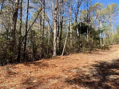 Lot 18 Oakridge Drive Brevard NC 28712