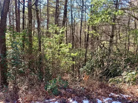 Lot 18 Oakridge Drive Brevard NC 28712