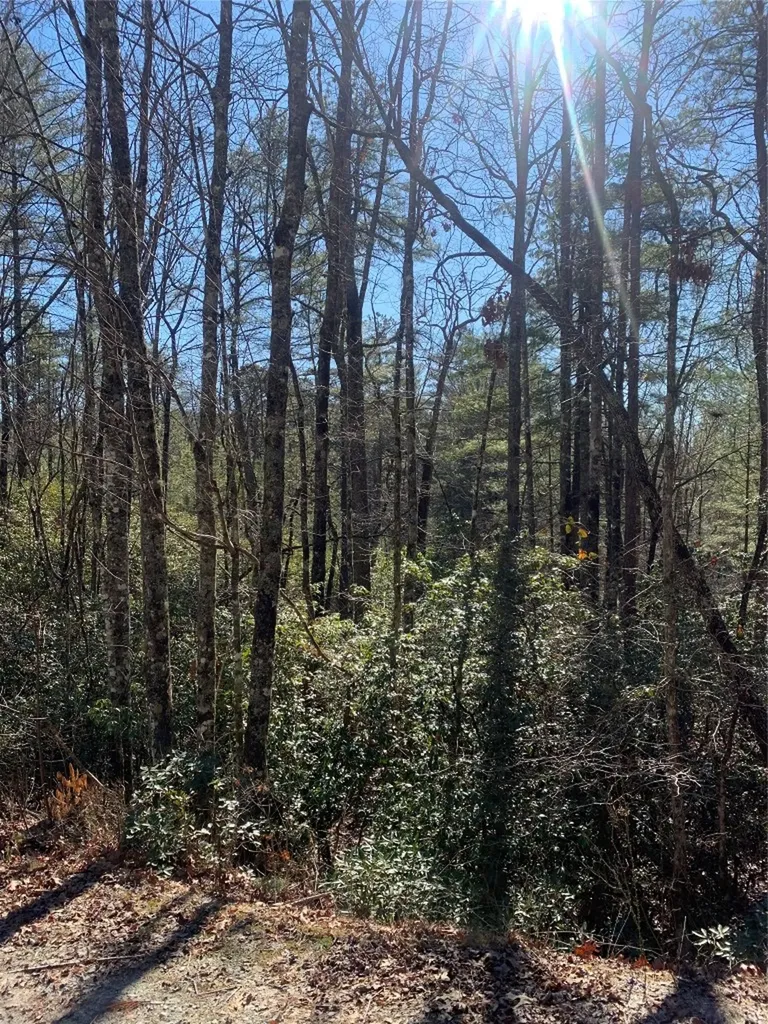 Lot 9 Oak Laurel Road Brevard NC 28712
