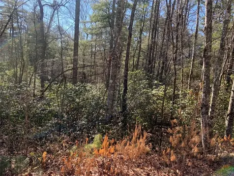 Lot 9 Oak Laurel Road Brevard NC 28712