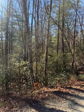 Lot 9 Oak Laurel Road Brevard NC 28712