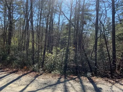 Lot 9 Oak Laurel Road Brevard NC 28712