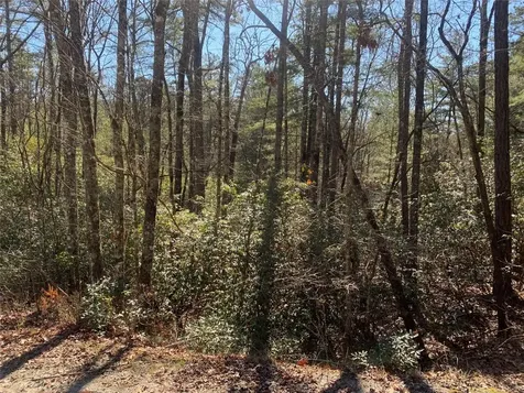 Lot 9 Oak Laurel Road Brevard NC 28712