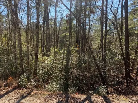 Lot 9 Oak Laurel Road Brevard NC 28712