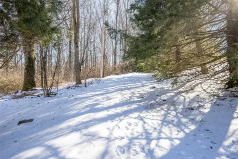80 Wake Robin Lane Scaly Mountain NC 28775