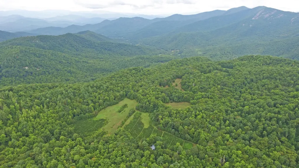 1575 Lloyd Cove Road Scaly Mountain NC 28775