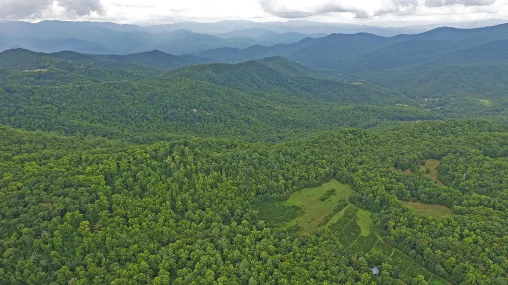 1575 Lloyd Cove Road Scaly Mountain NC 28775