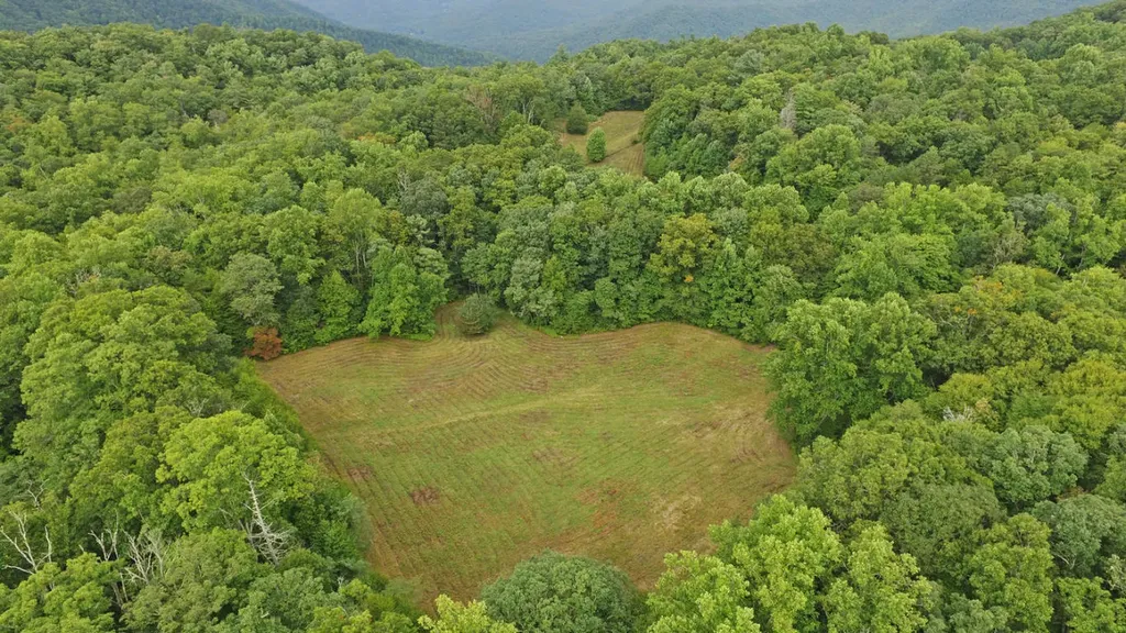 1575 Lloyd Cove Road Scaly Mountain NC 28775