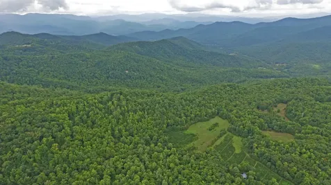 1575 Lloyd Cove Road Scaly Mountain NC 28775