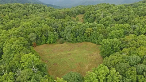 1575 Lloyd Cove Road Scaly Mountain NC 28775