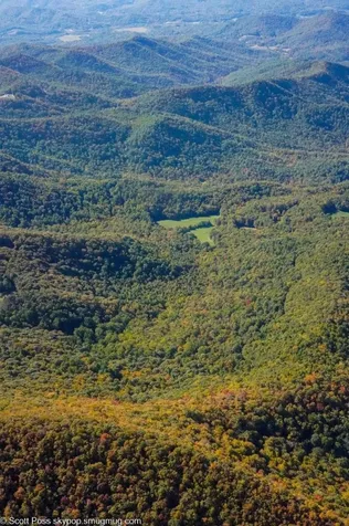 1575 Lloyd Cove Road Scaly Mountain NC 28775