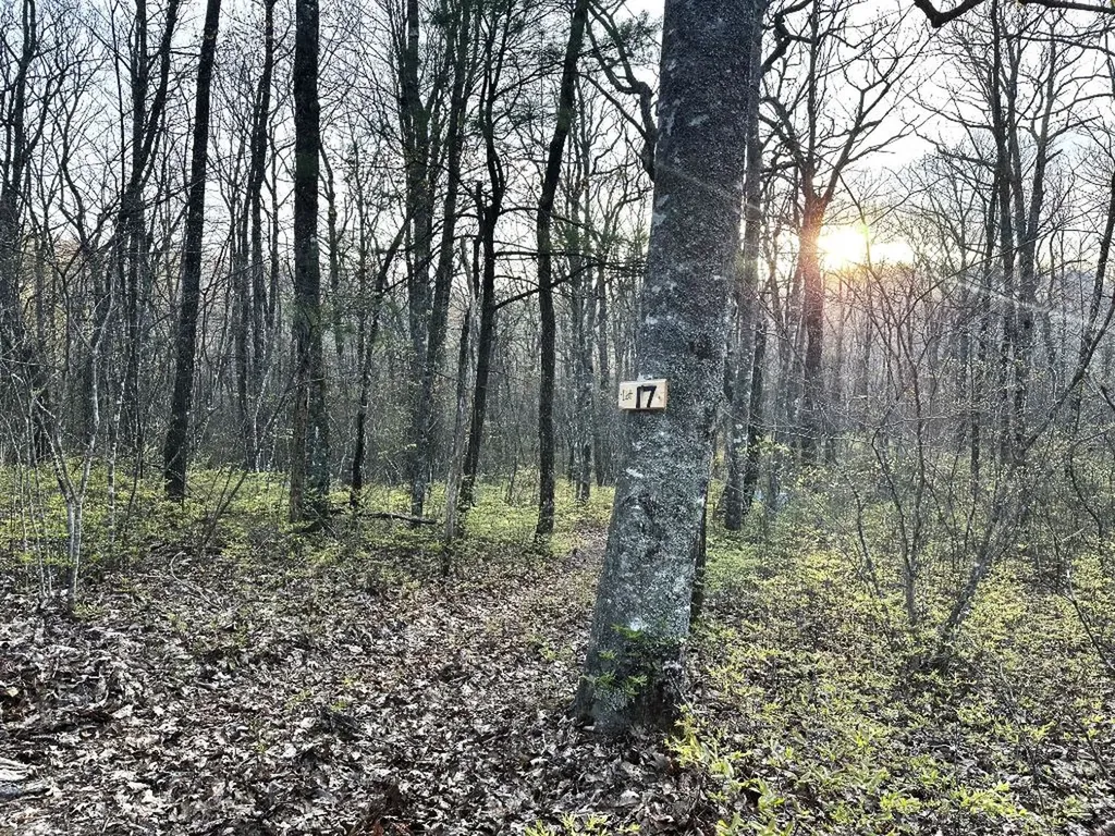 Lot 17 Glenridge Glenville NC 28736