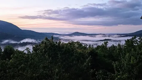 305 Easy Springs Road Sapphire NC 28774