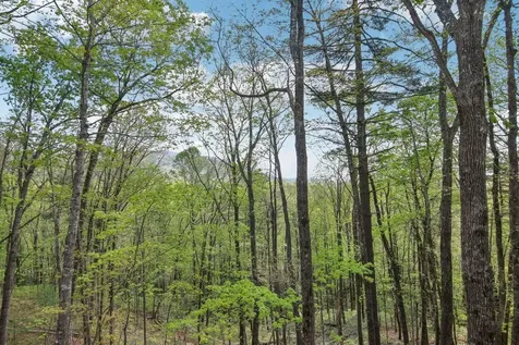 305 Easy Springs Road Sapphire NC 28774