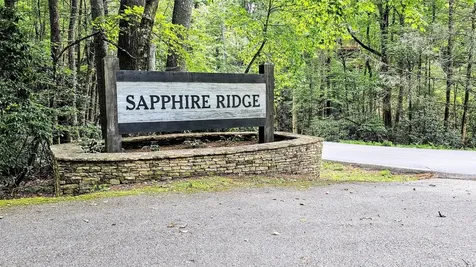 305 Easy Springs Road Sapphire NC 28774