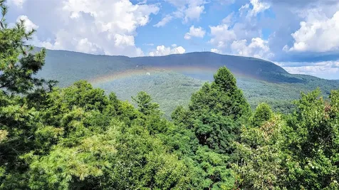 305 Easy Springs Road Sapphire NC 28774