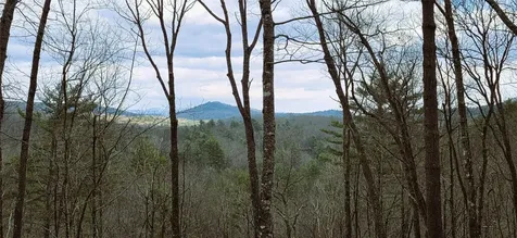 305 Easy Springs Road Sapphire NC 28774