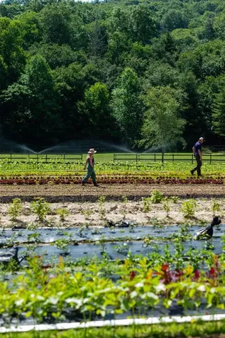 156 Windrush Trail Highlands NC 28741