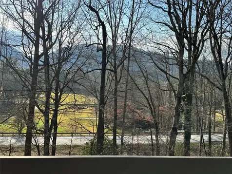 96 Dogwood Knob Sapphire NC 28774