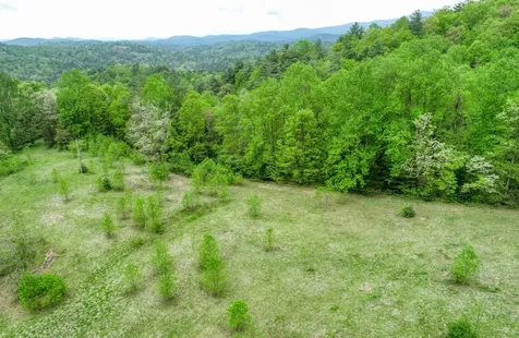 Off Neely Highlands NC 28741