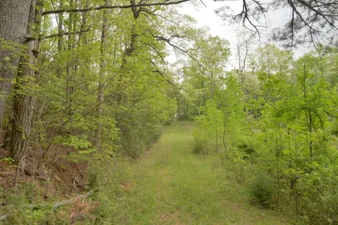 Off Neely Highlands NC 28741