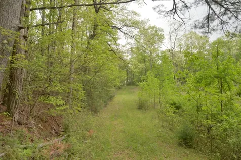 Off Neely Road And Usfs Road Highlands NC 28741