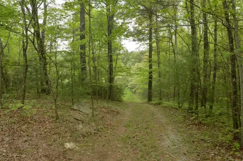 Off Neely Highlands NC 28741