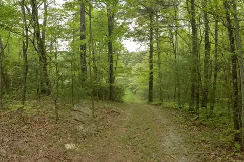 Off Neely Road And Usfs Road Highlands NC 28741