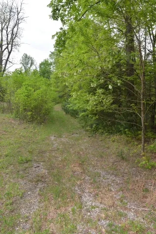Off Neely Highlands NC 28741