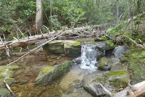 Off Neely Highlands NC 28741