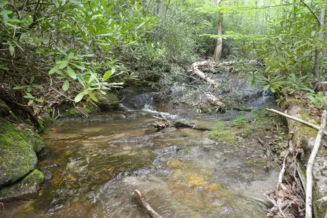 Off Neely Road And Usfs Road Highlands NC 28741