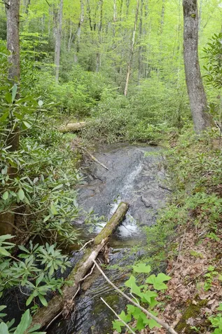 Off Neely Highlands NC 28741
