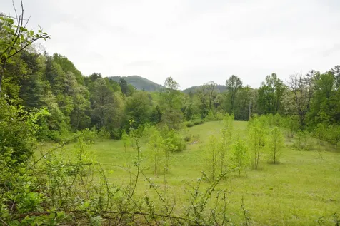 Off Neely Highlands NC 28741