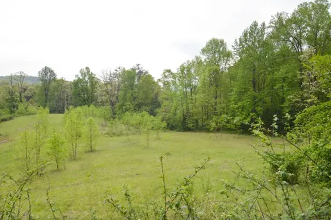 Off Neely Highlands NC 28741