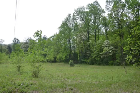 Off Neely Highlands NC 28741