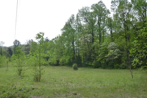 Off Neely Road And Usfs Road Highlands NC 28741