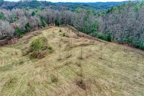 Off Neely Highlands NC 28741
